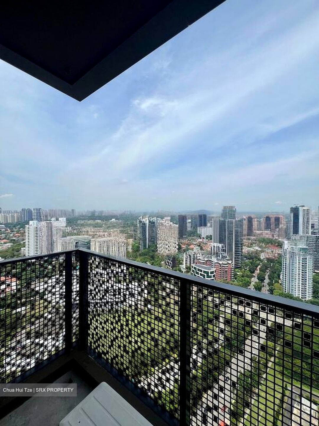Irwell Hill Residences (D9), Apartment #455595031
